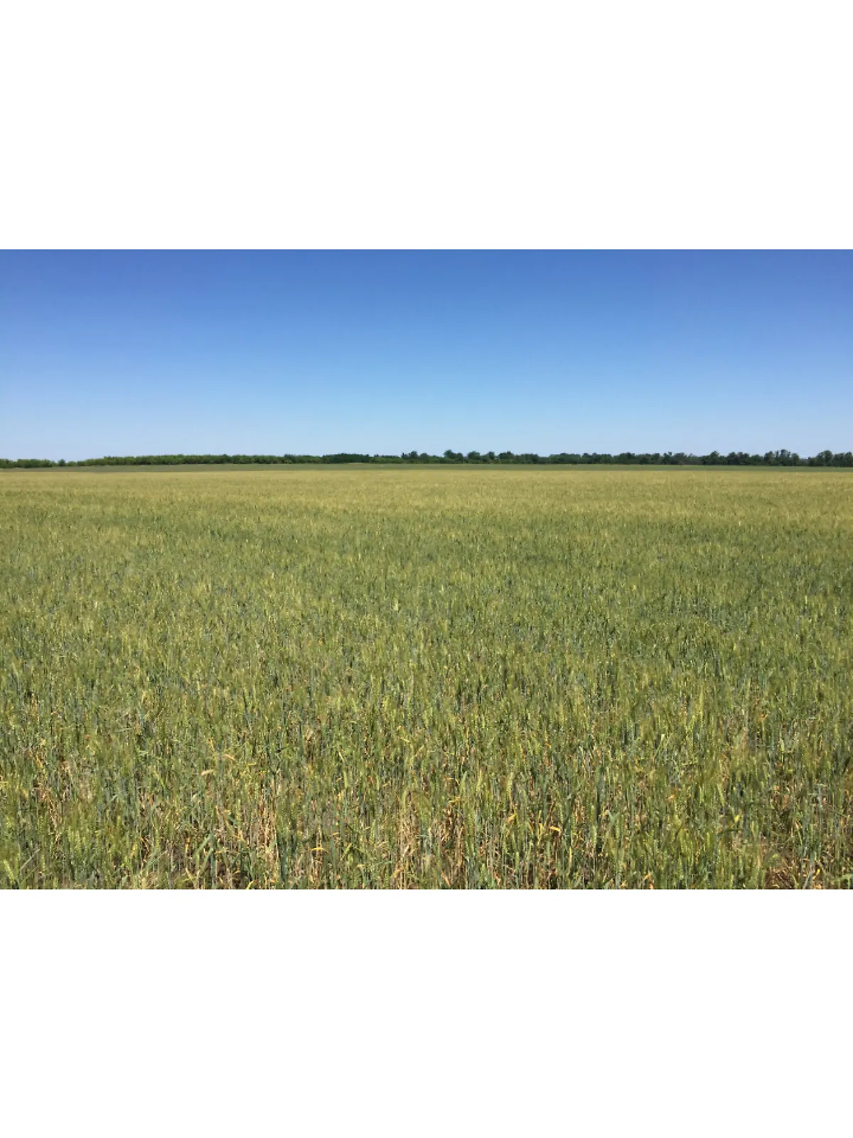 Продається земельна ділянка 8.44 соток у Дніпропетровській області, цена: 800000 грн - фото 1