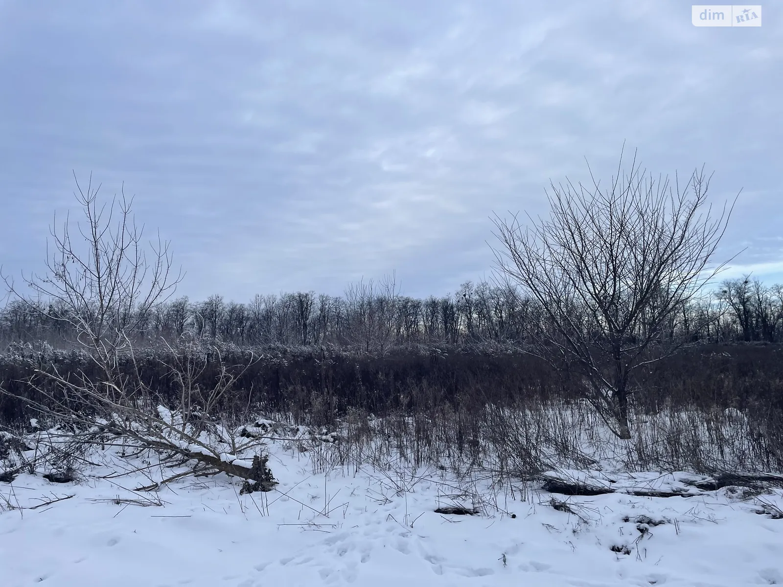 Бохоники, цена: 12900 $ - фото 1