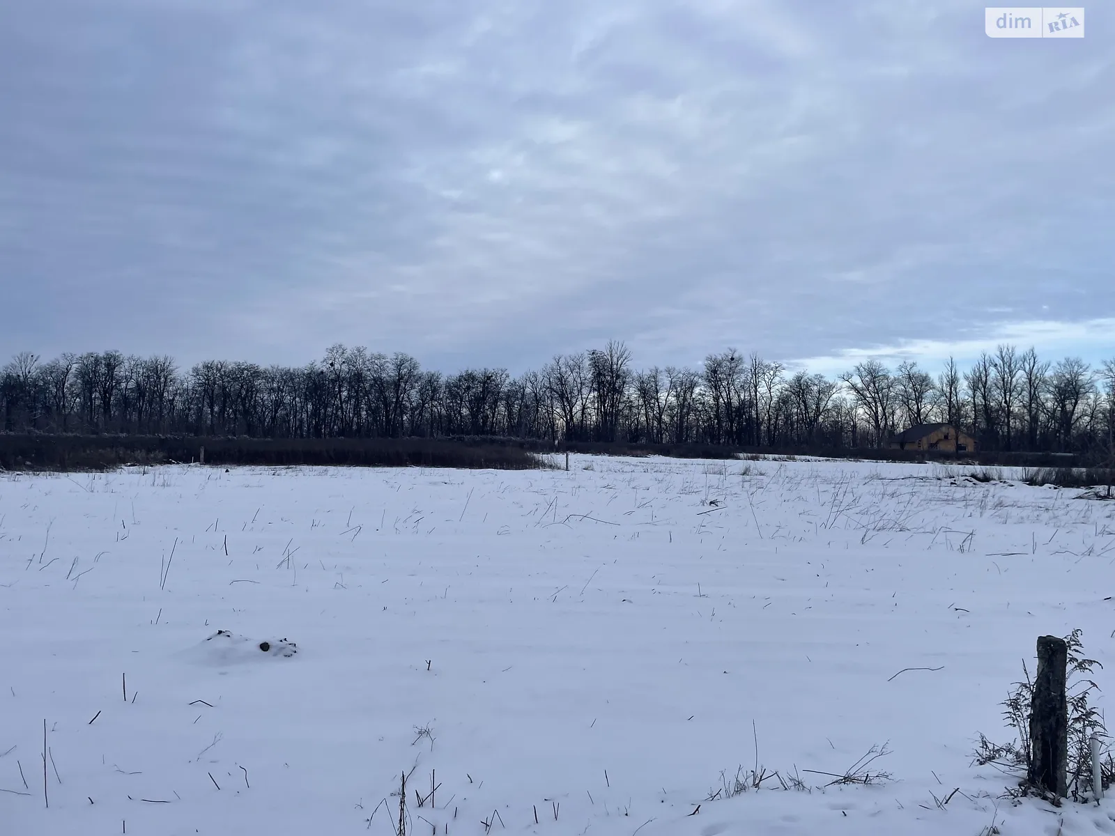 Бохоники, цена: 18500 $ - фото 1