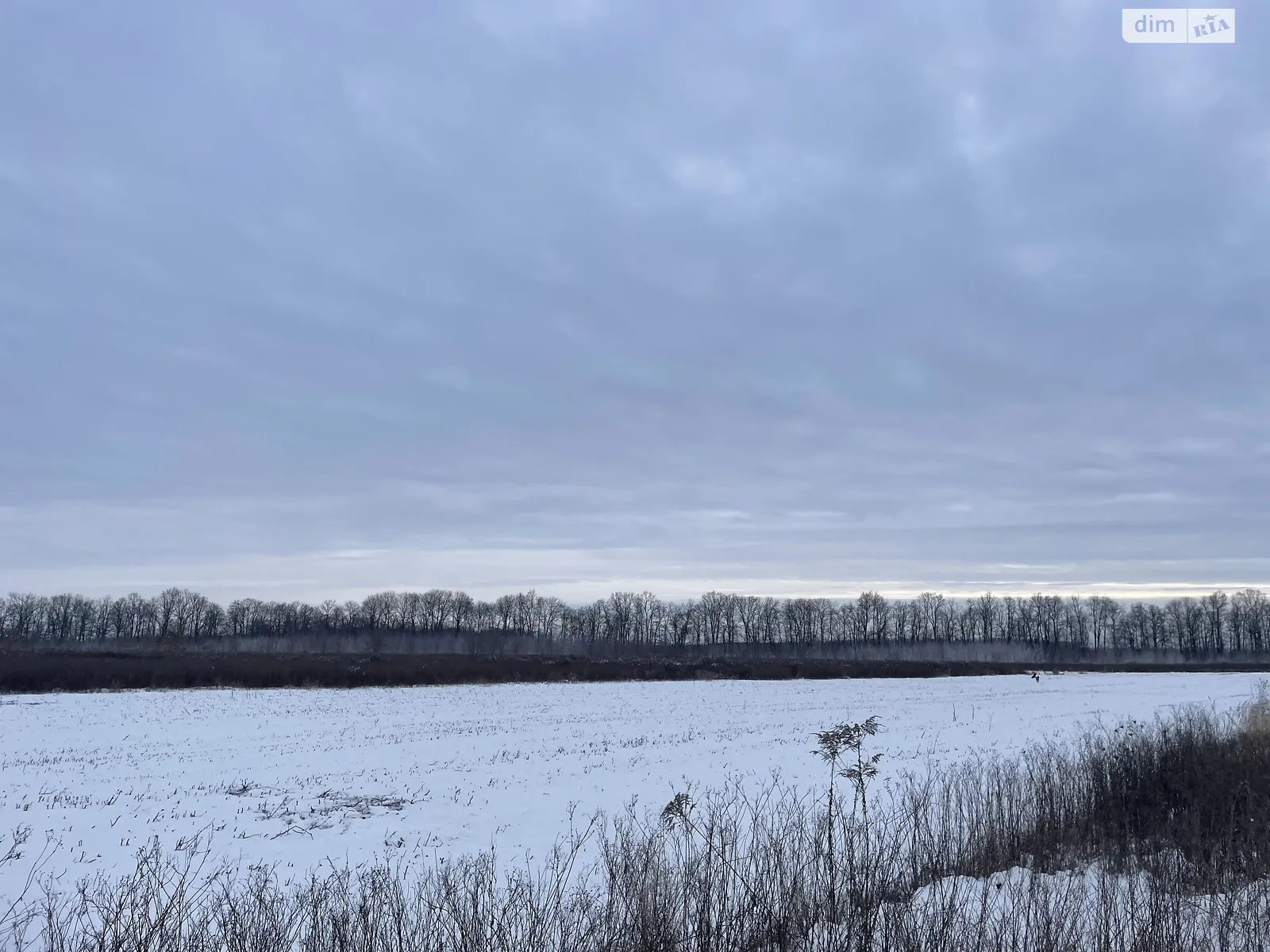 Бохоники, цена: 16500 $ - фото 1