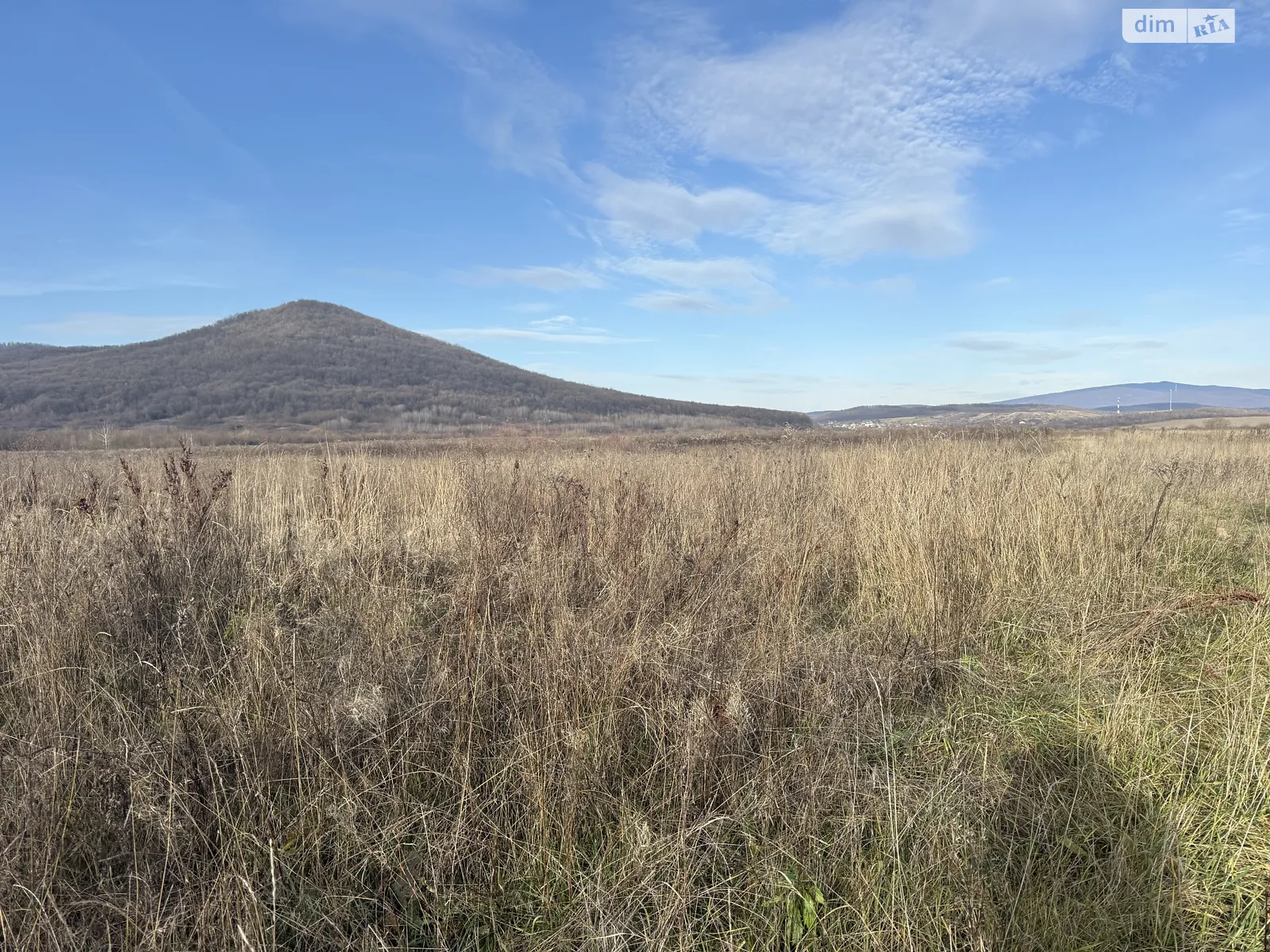 Продается земельный участок 20 соток в Закарпатской области, цена: 7000 $ - фото 1