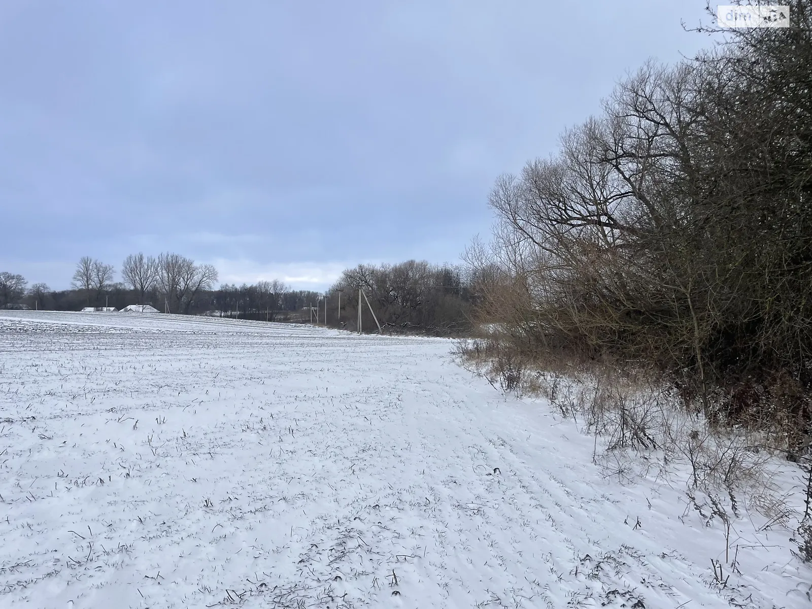 Продается земельный участок 54 соток в Тернопольской области, цена: 8000 $ - фото 1