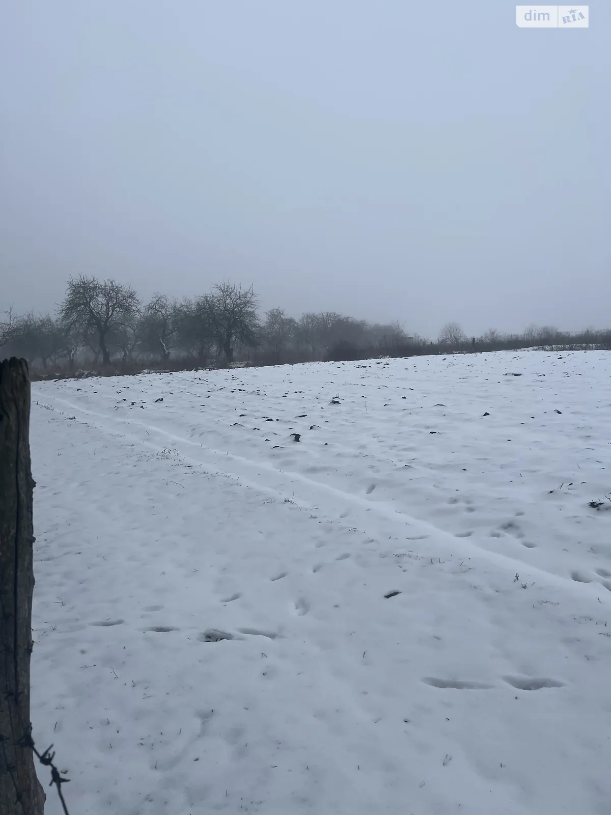 Бохоники, цена: 25000 $ - фото 1