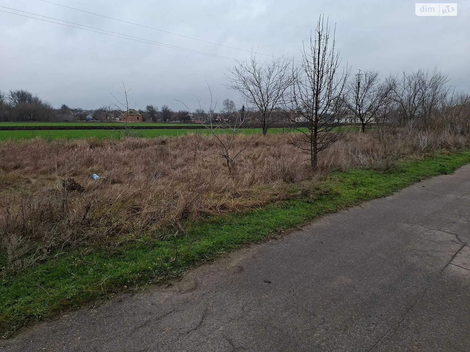 Здається в оренду земельна ділянка 0.2 соток у Полтавській області, цена: 1003 грн - фото 1