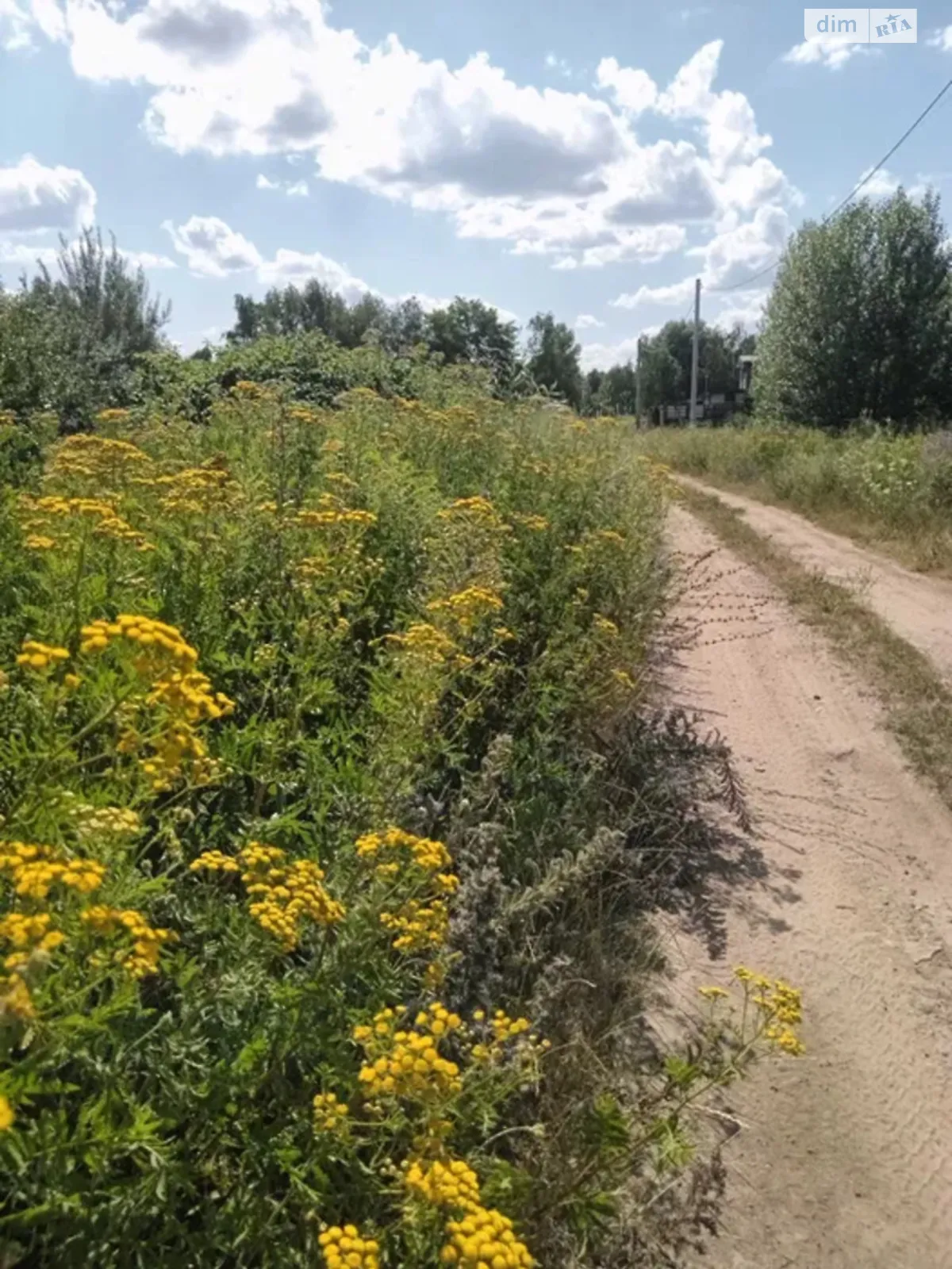 Продается земельный участок 2.49 соток в Киевской области, цена: 19991 $ - фото 1