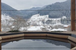 Сниму дом посуточно в Ивано-Франковской области