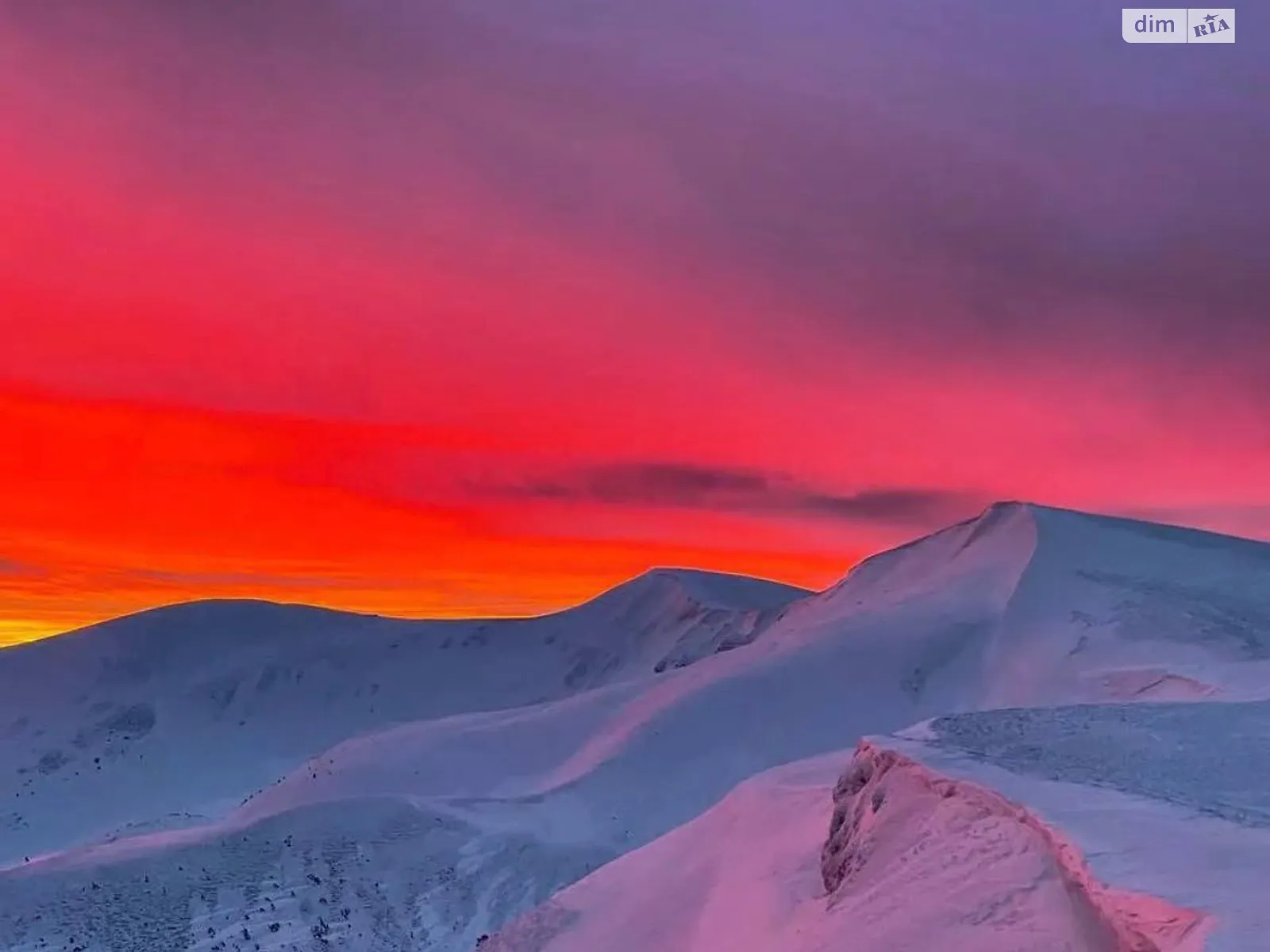 Продается земельный участок 10 соток в Закарпатской области, цена: 20000 $ - фото 1