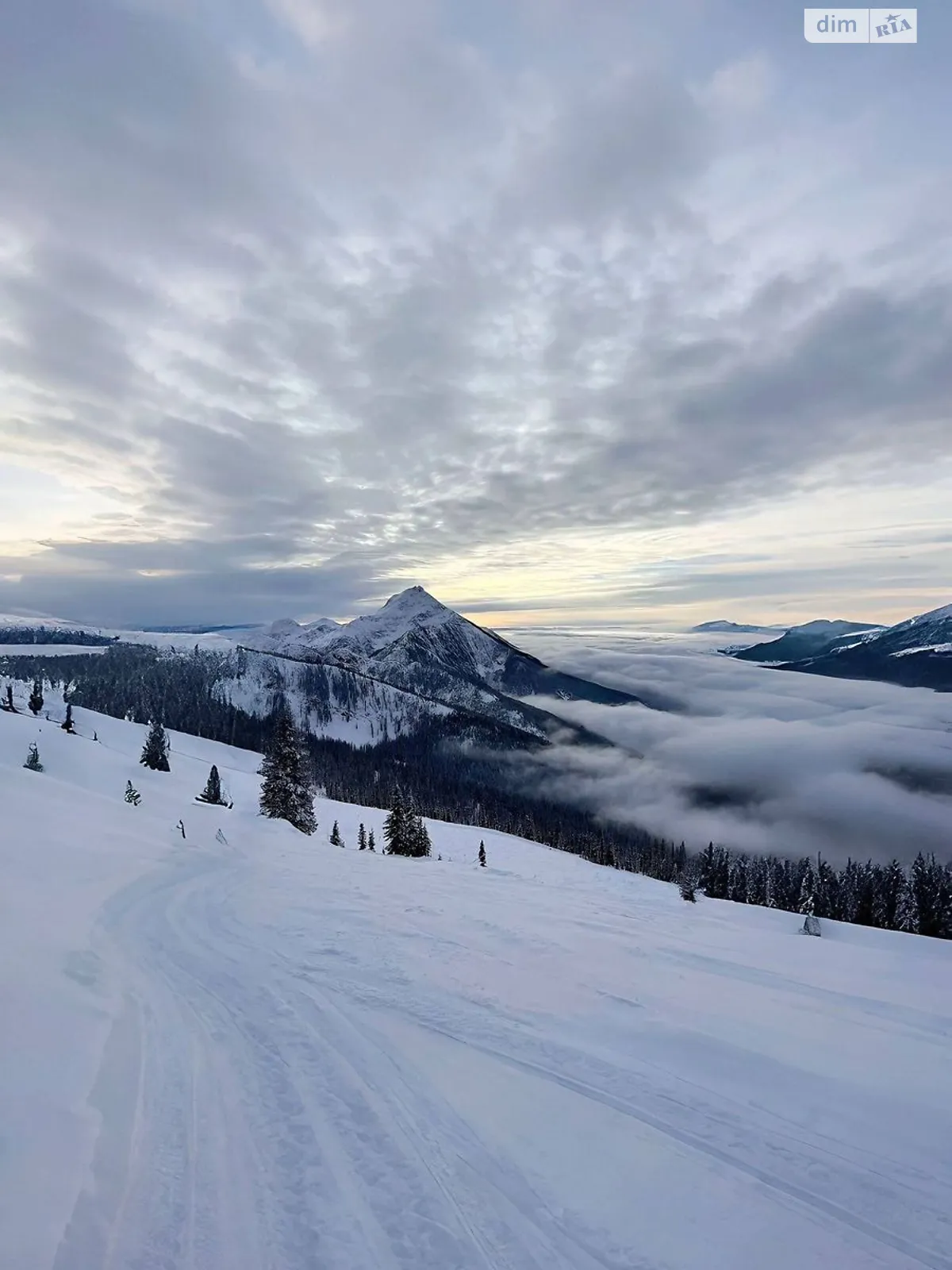 Продается земельный участок 10 соток в Закарпатской области, цена: 20000 $ - фото 1