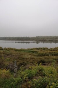 Продаж землі сільськогосподарського призначення, Одеська, Молодіжне, Озерна вулиця