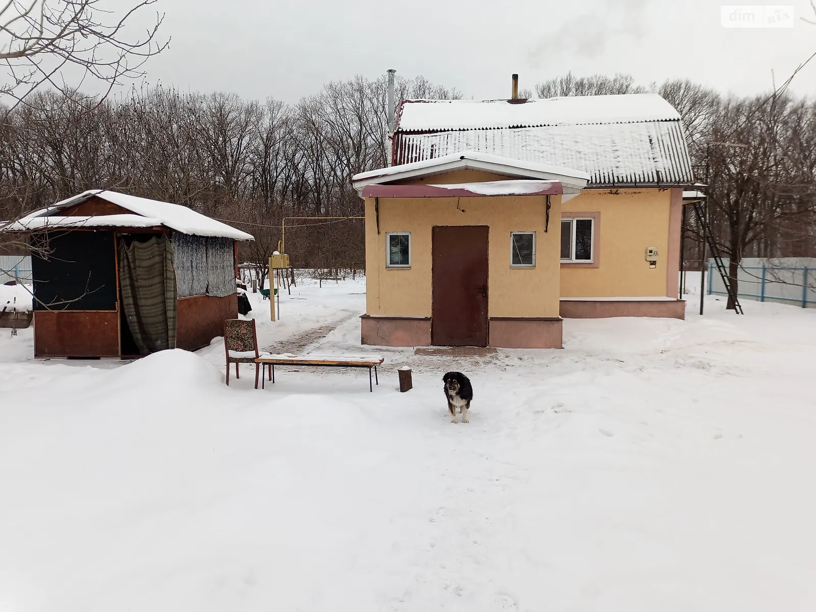 Продается одноэтажный дом 40.3 кв. м с камином, цена: 10000 $ - фото 1