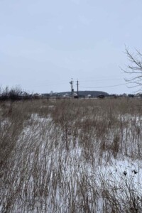 Продажа земли сельскохозяйственного назначения, Винницкая, Зарванцы