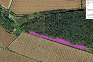 Продаж землі сільськогосподарського призначення, Хмельницька, Давидківці