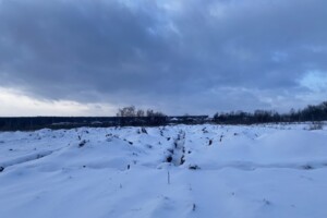 Продаж землі сільськогосподарського призначення, Вінницька, Прибузьке (Шкуринці), Головна вулиця