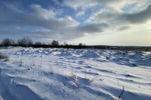 Продаж землі сільськогосподарського призначення, Вінницька, Прибузьке (Шкуринці), Головна вулиця