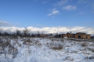 Продаж землі сільськогосподарського призначення, Вінницька, Прибузьке (Шкуринці), Головна вулиця