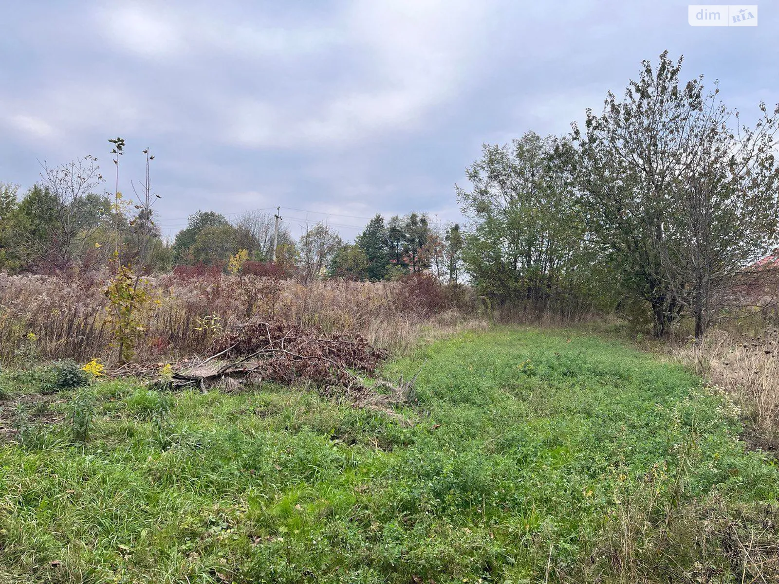 Продается земельный участок 0.8265 соток в Черновицкой области, цена: 12358985 грн - фото 1