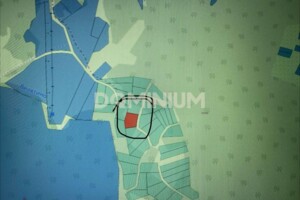 Продажа земли сельскохозяйственного назначения, Закарпатская, Велятино, Ігнатівська, дом 12