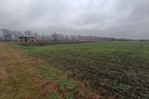 Продажа земли сельскохозяйственного назначения, Хмельницкая, Черный Остров