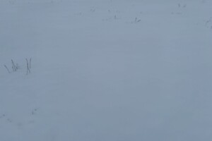 Аренда участков