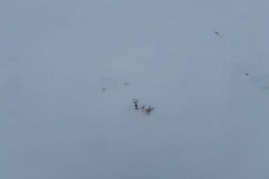 Аренда участков