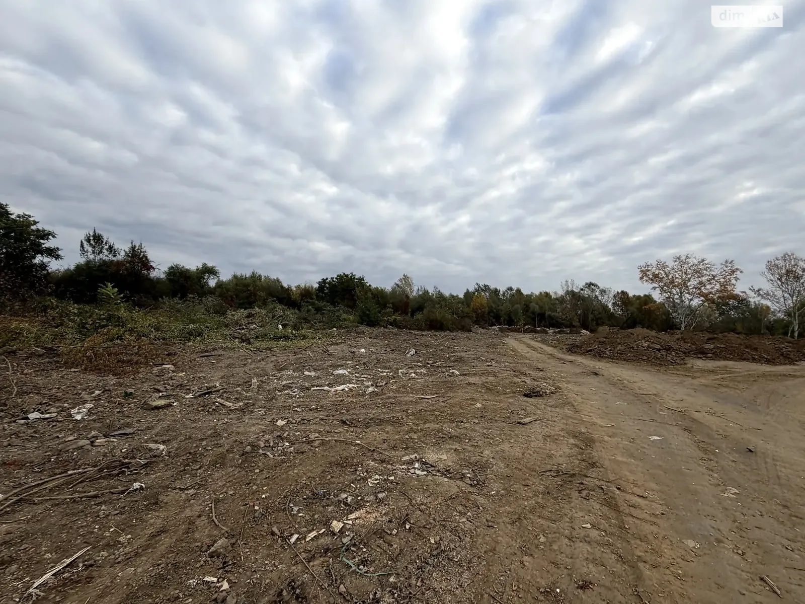 Продается земельный участок 10 соток в Закарпатской области, цена: 35000 $ - фото 1