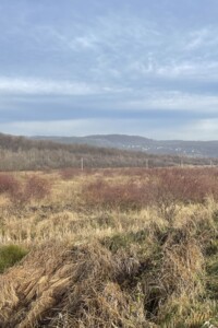 Продажа земли сельскохозяйственного назначения, Закарпатская, Каменица