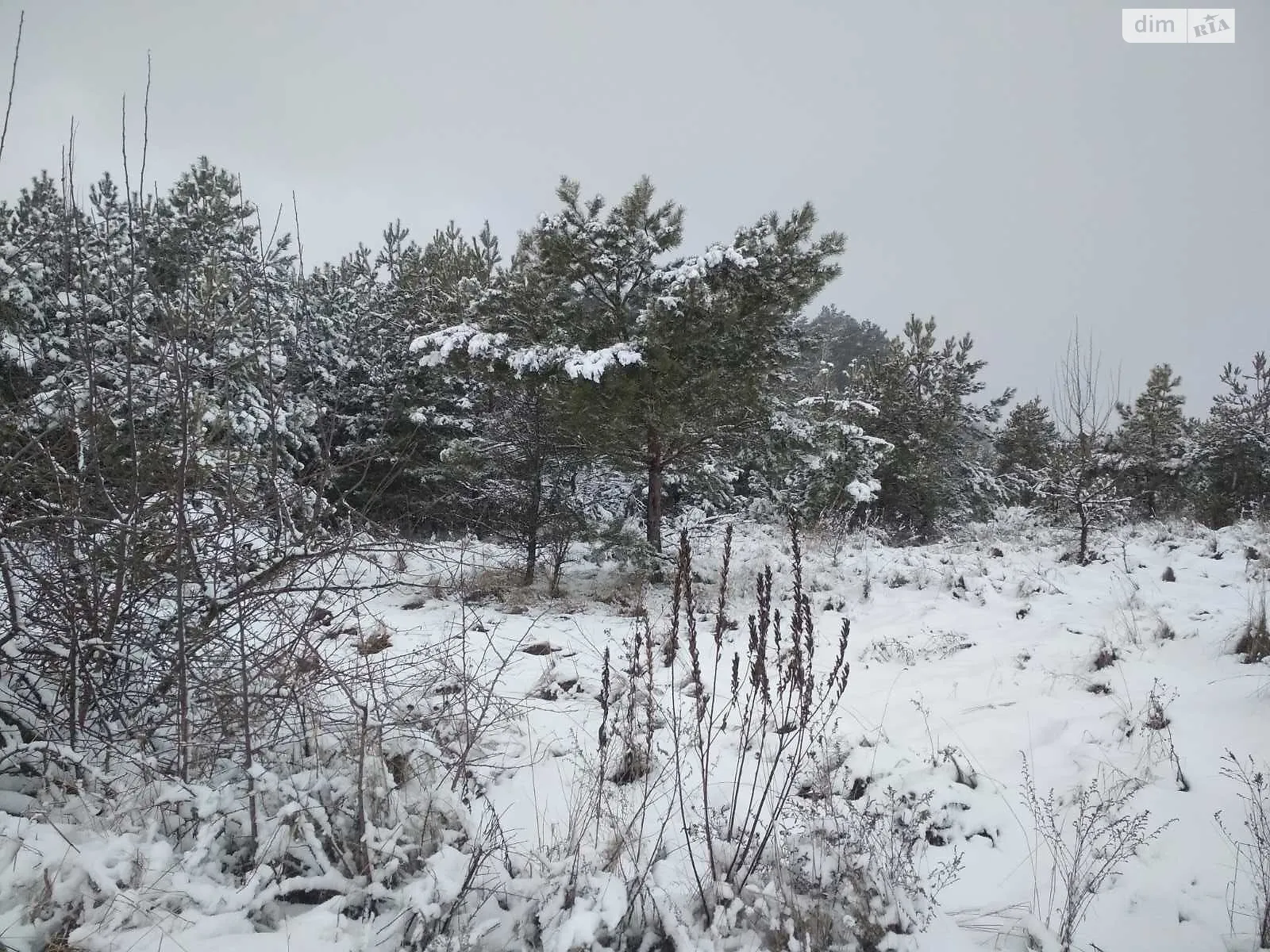 Здається в оренду земельна ділянка 17.8885 соток у  області, цена: 23708 грн - фото 1