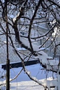 Куплю дом Житомирской области