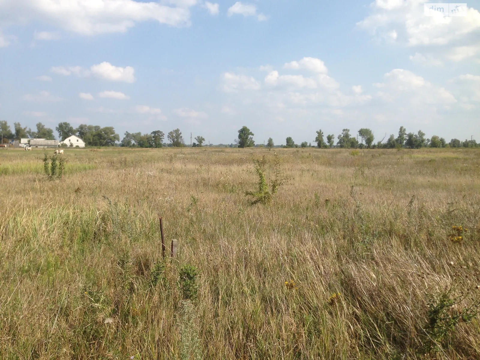 Сувид, цена: 6399 $ - фото 1