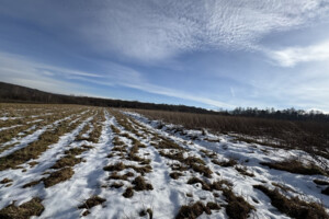 Продажа земли сельскохозяйственного назначения, Львовская, Подтёмное