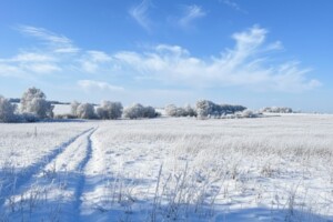 Купить землю под застройку в Киевской области