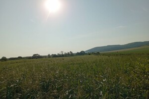 Аренда участков