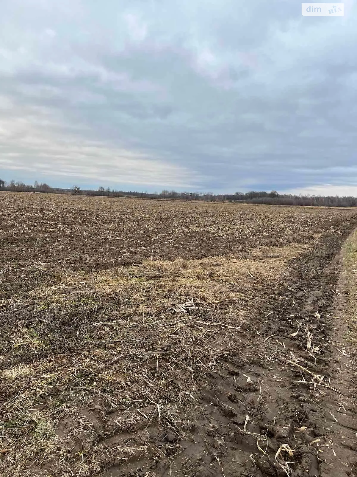 Здається в оренду земельна ділянка 16.2929 соток у  області, цена: 29648 грн - фото 1