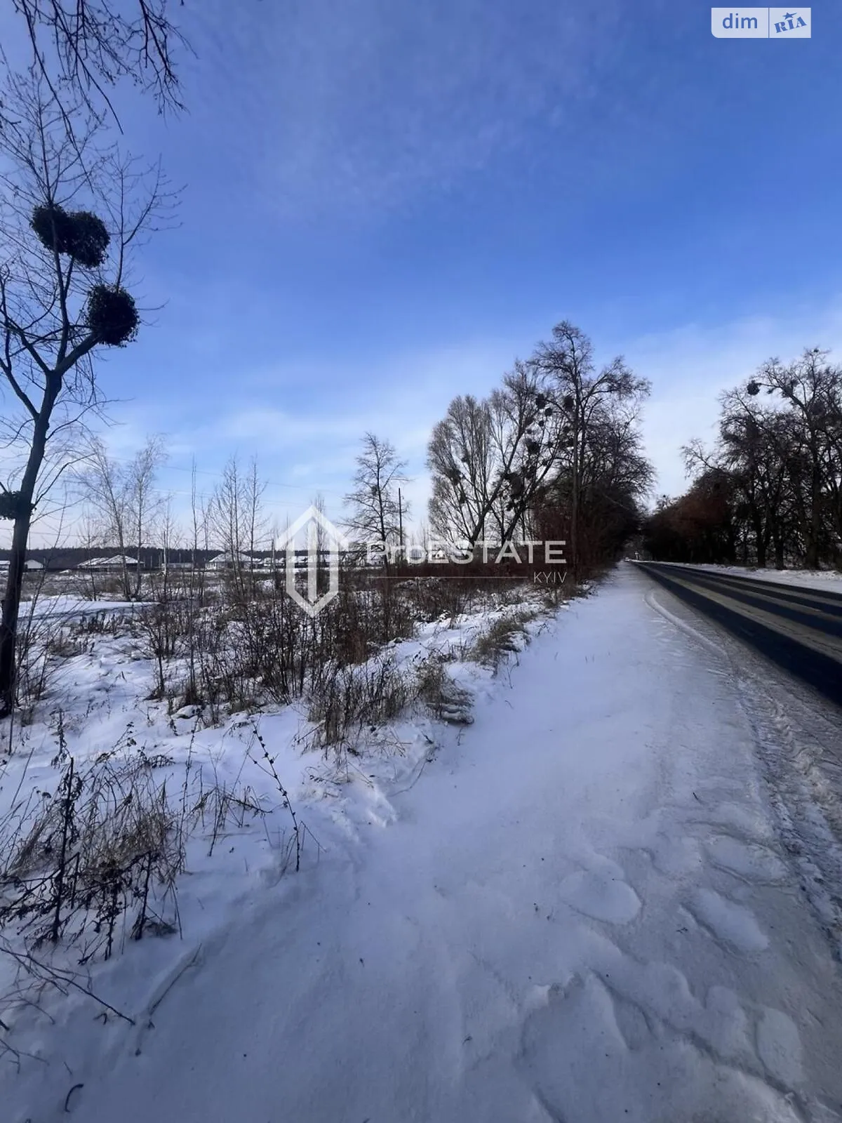 Продается земельный участок 200 соток в Киевской области, цена: 30000 $ - фото 1