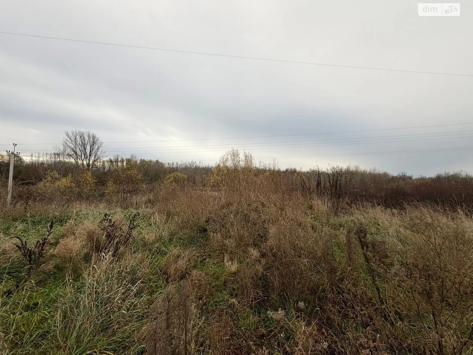 Продается земельный участок 6 соток в Закарпатской области, цена: 60000 $ - фото 1