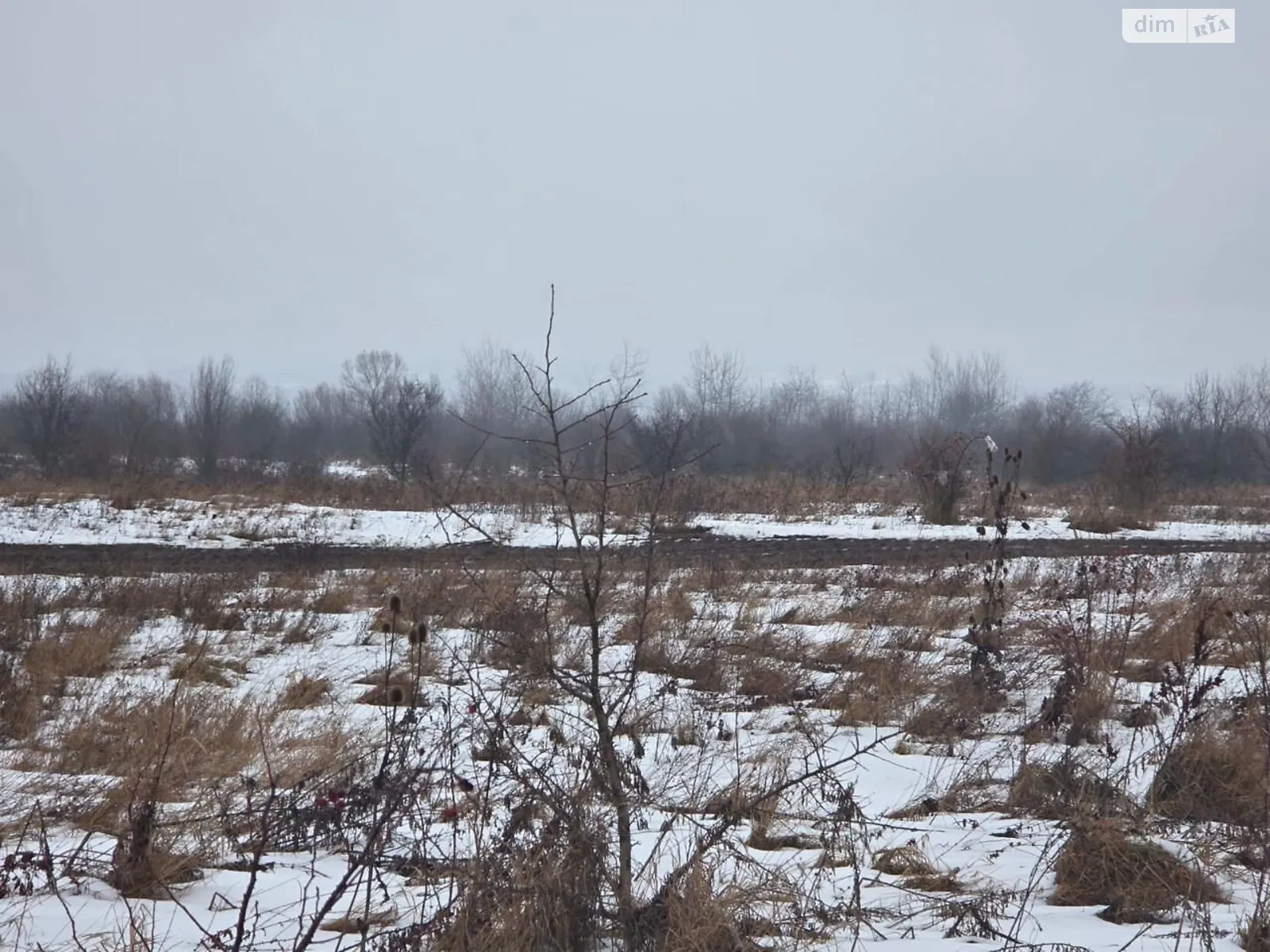 Черепковцы, цена: 41853 грн - фото 1