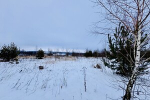 Продажа земли сельскохозяйственного назначения, Хмельницкая, Лесовые Гриновцы