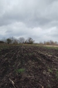 Продажа земли сельскохозяйственного назначения, Винницкая, Калиновка