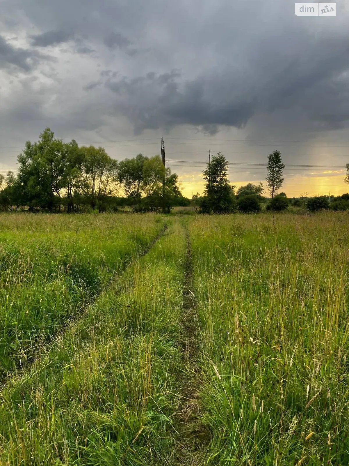 Продается земельный участок 10 соток в Львовской области, цена: 12000 $ - фото 1