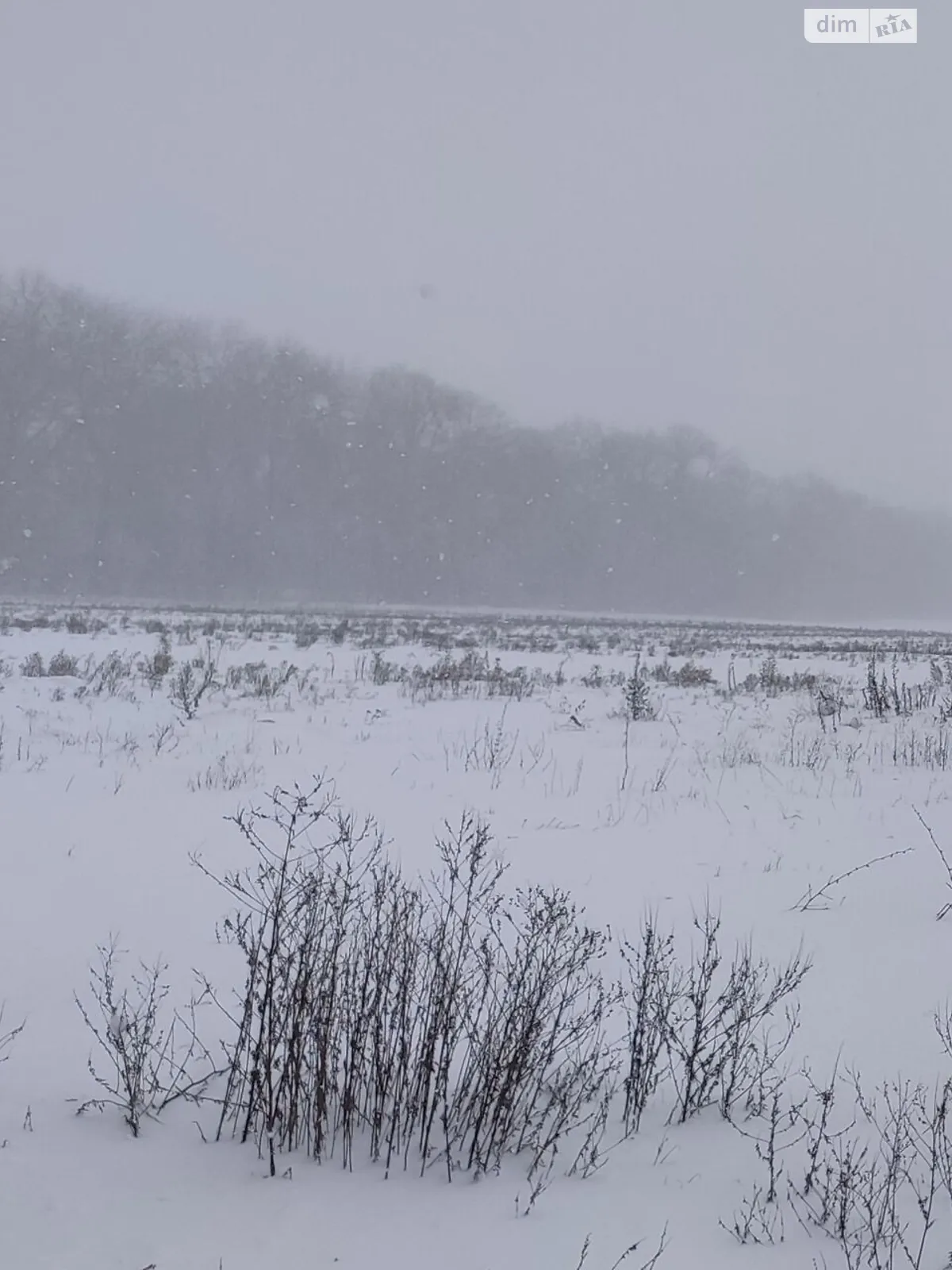 Сдается в аренду земельный участок 7.8592 соток в  области,  - фото 1