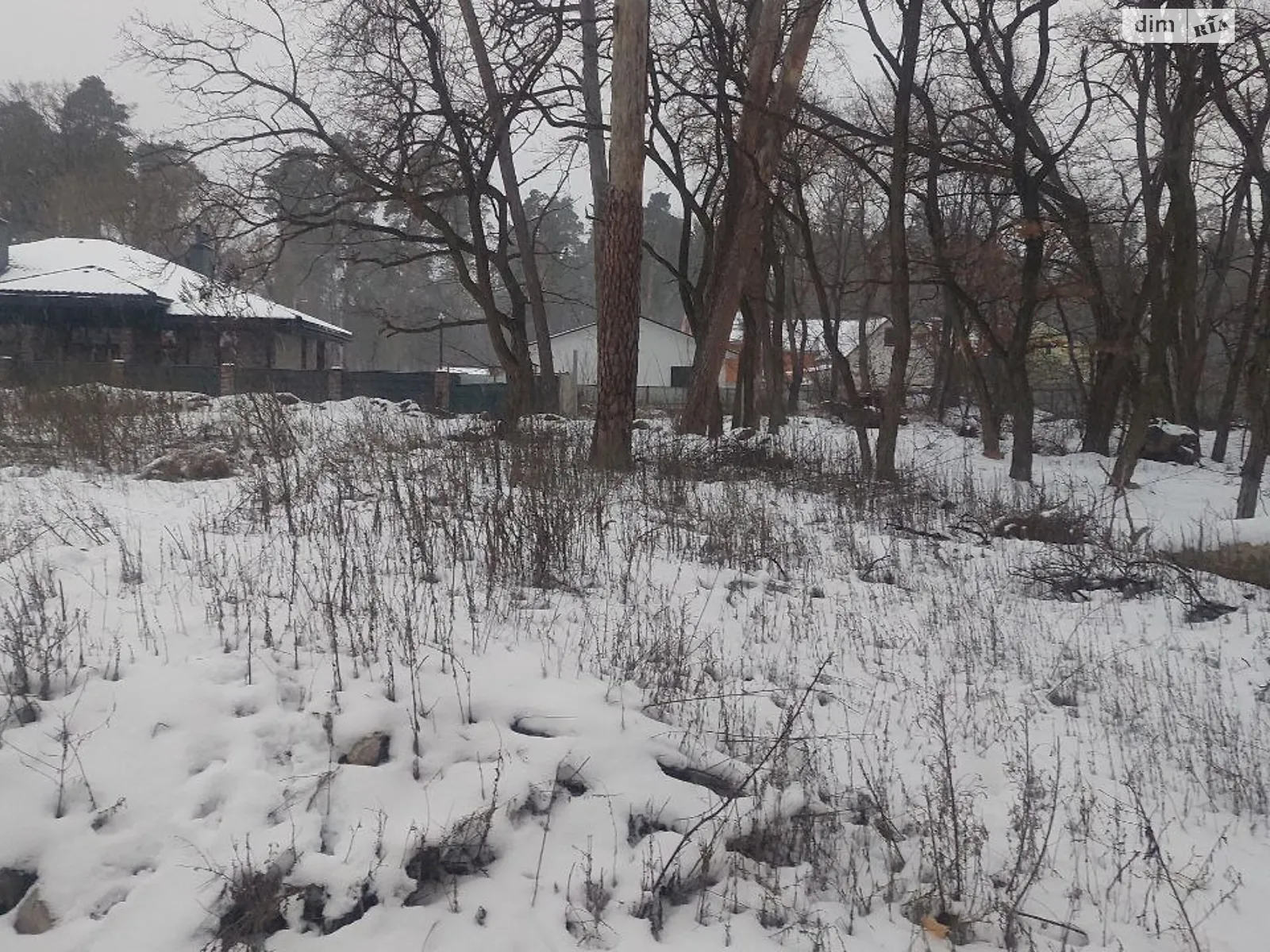 Продается земельный участок 30 соток в Черкасской области, цена: 450000 $ - фото 1