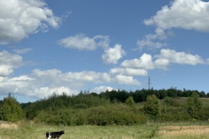 Купить землю под застройку в Львовской области