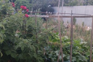 Сниму часть дома в Одессе долгосрочно