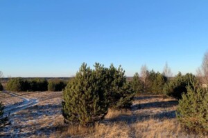 Продажа участка под жилую застройку, Ровенская, Козлин, Лугова