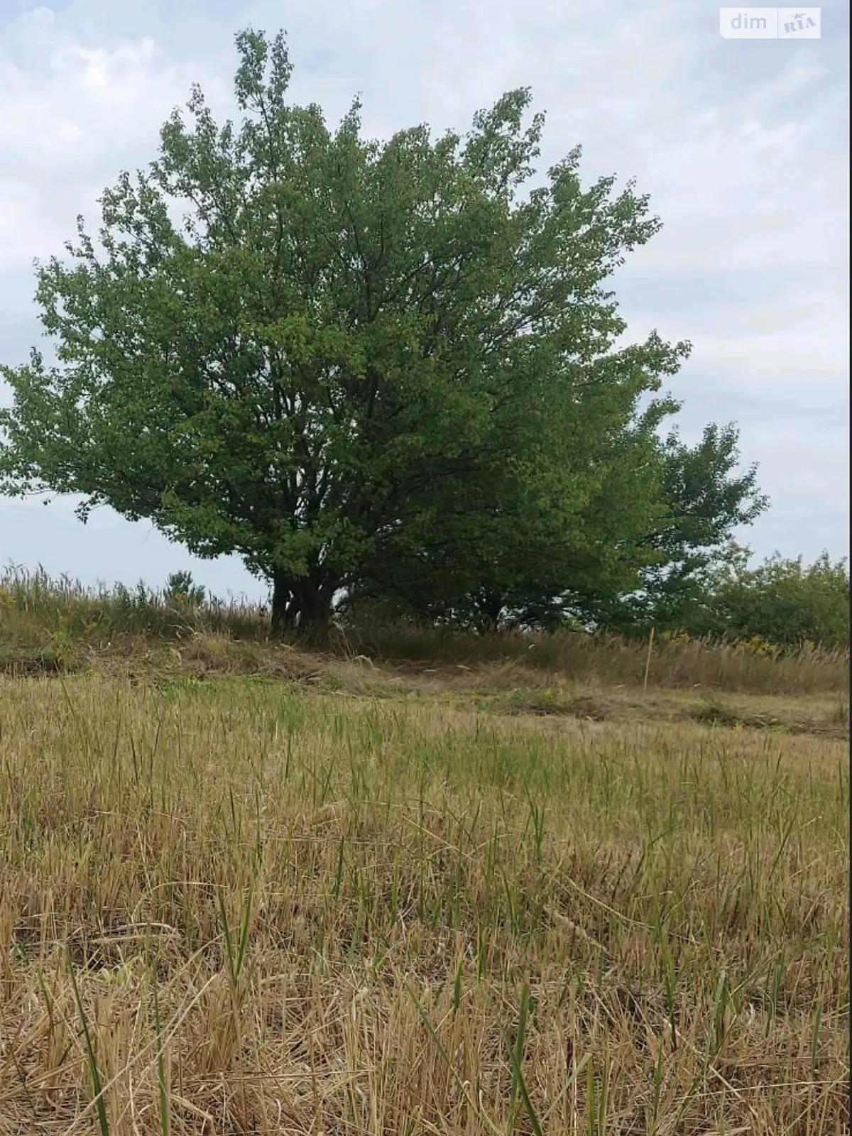 Продається земельна ділянка 0.06 соток у Черкаській області, цена: 6000 $ - фото 1