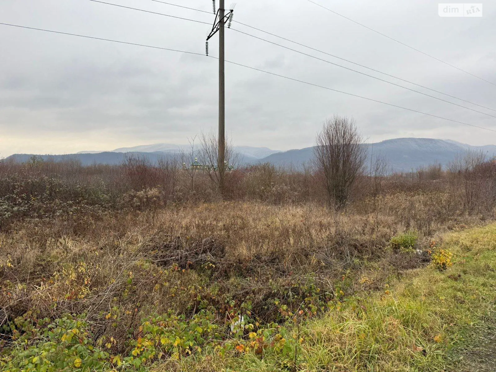 Продается земельный участок 0.2501 соток в Закарпатской области, цена: 952881 грн - фото 1