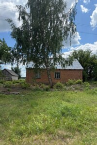 Продаж будинку, Тернопільська, Хотівка, Лісна вулиця