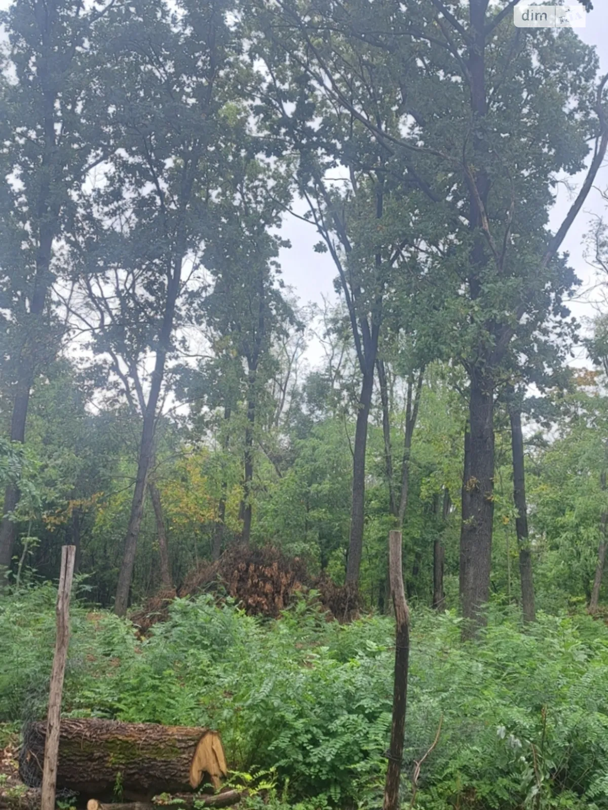 Продается земельный участок 11.62 соток в Киевской области, цена: 40500 $ - фото 1