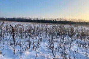 Аренда участков