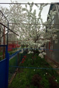 Продажа дома, Одесская, Доброалександровка, вулиця Садова